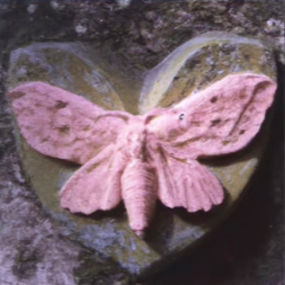 narriahchilds